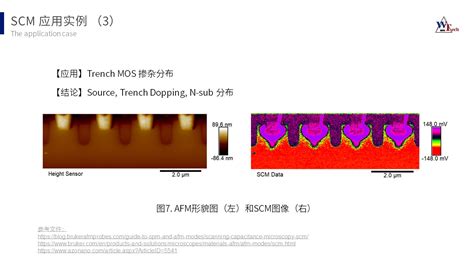 scm分析|跳脫黑與白，戴上彩色眼鏡 SCM 表面分析 輕鬆判。